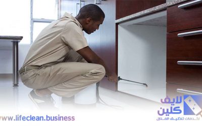 شركة مكافحة الرمة في الشارقة 0507765798