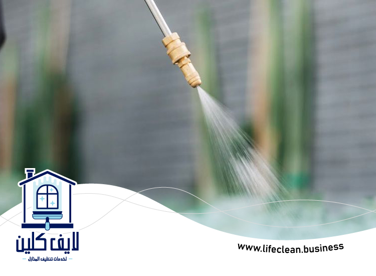 مكافحة حشرات دبي 4 مكافحة حشرات دبي