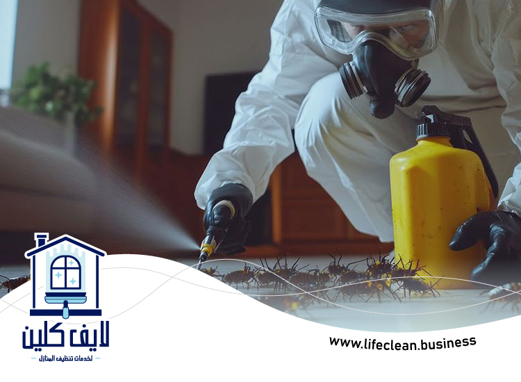 مكافحة حشرات دبي 5 مكافحة حشرات دبي