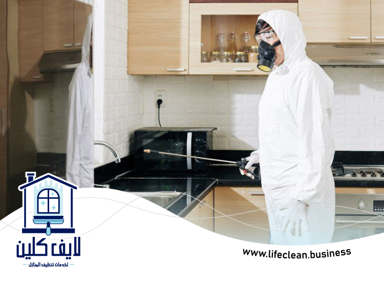 مكافحة حشرات المطبخ دبي 5 مكافحة حشرات المطبخ دبي