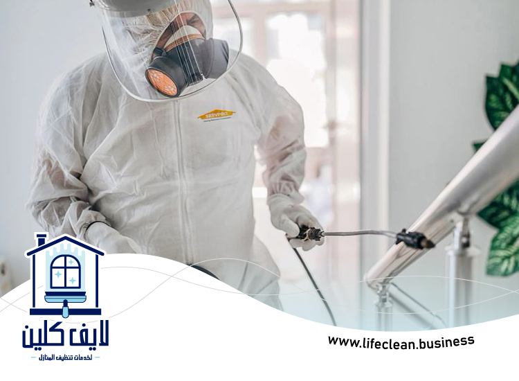 شركة مكافحة حشرات في الشارقة 3 شركة مكافحة حشرات في الشارقة