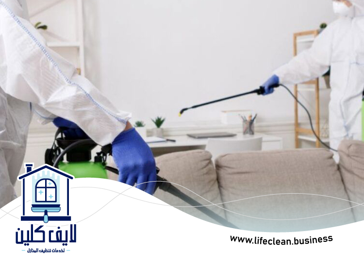 شركة مكافحة الفئران في دبي 4 شركة مكافحة الفئران في الشارقة