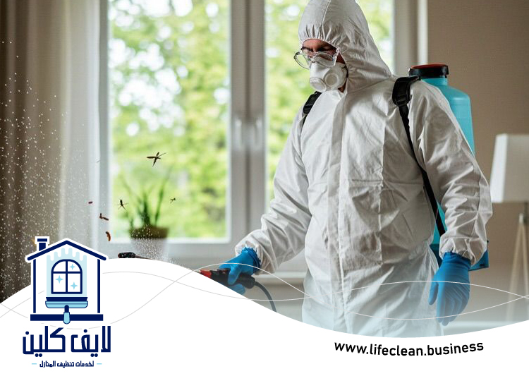 شركة مكافحة حشرات في الشارقة 4 شركة مكافحة حشرات في الشارقة
