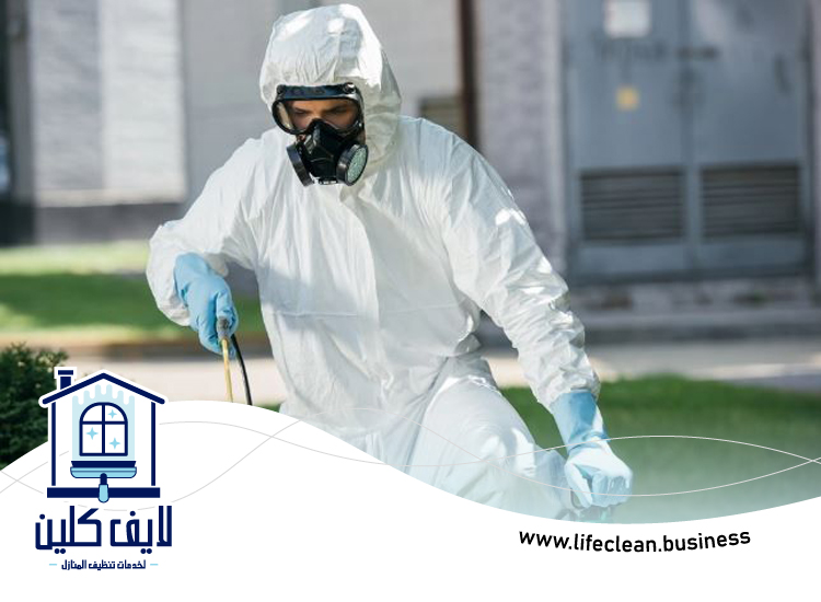 شركة مكافحة الفئران في الشارقة 5 شركة مكافحة الفئران في الشارقة