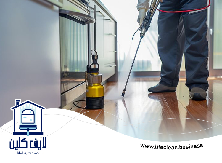 شركة مكافحة الفئران في الشارقة 4 شركة مكافحة الفئران في الشارقة