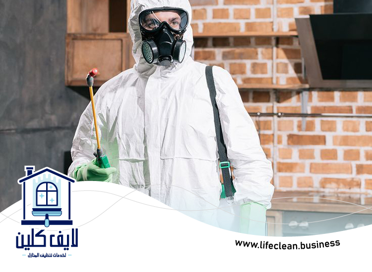 مكافحة حشرات المطبخ دبي 4 مكافحة حشرات المطبخ دبي