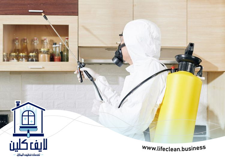 مكافحة حشرات المطبخ دبي 3 مكافحة حشرات المطبخ دبي
