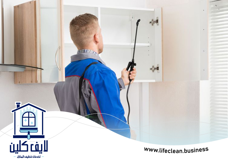 شركة مكافحة حشرات في أبوظبي 2 شركة مكافحة حشرات في أبوظبي