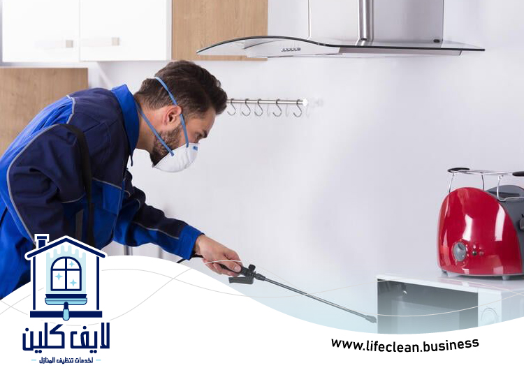 شركة مكافحة حشرات في أبوظبي 3 شركة مكافحة حشرات في أبوظبي