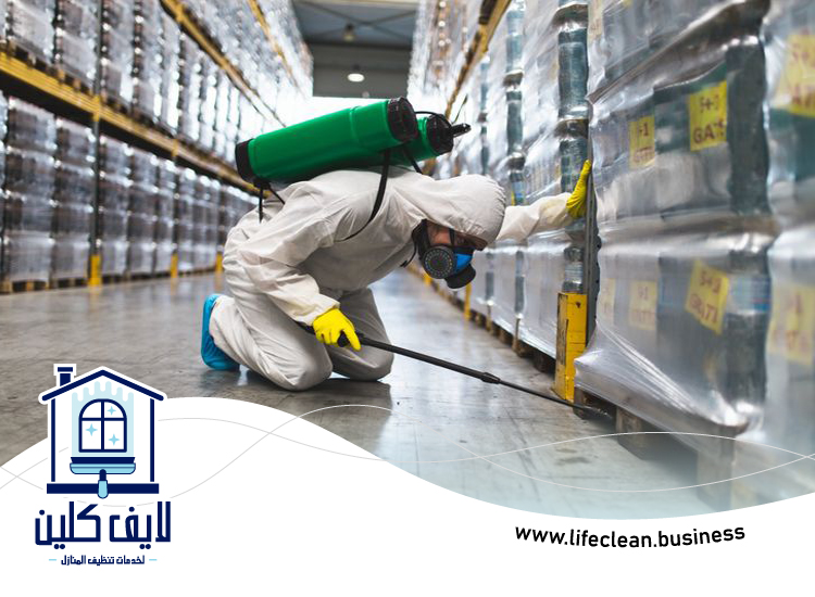 شركة مكافحة حشرات في عجمان 3 شركة مكافحة حشرات في عجمان