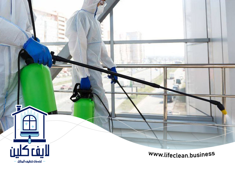 شركة مكافحة الصراصير في الشارقة 4 شركة مكافحة الصراصير في الشارقة