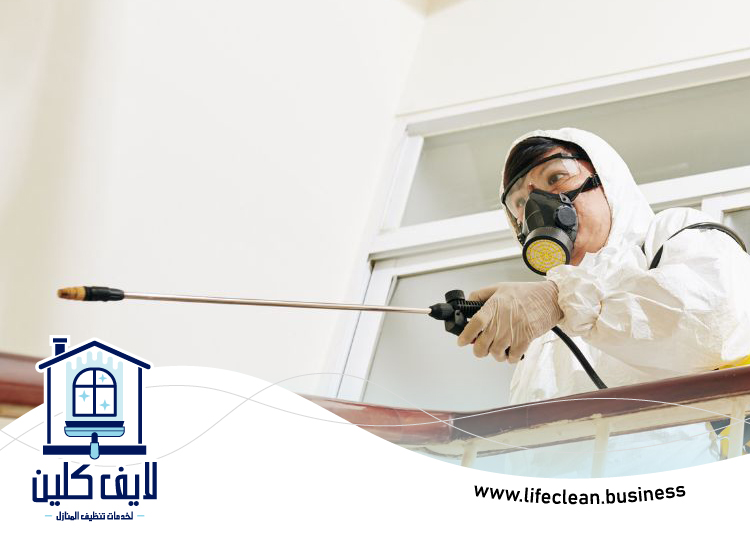 شركة مكافحة الصراصير في الشارقة 3 شركة مكافحة الصراصير في الشارقة