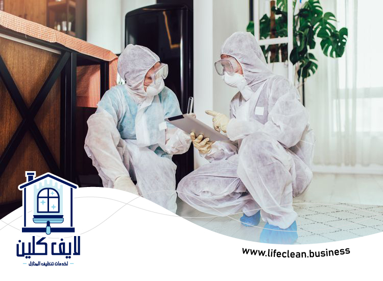 شركة مكافحة الصراصير فى عجمان 2 شركة مكافحة الصراصير فى عجمان