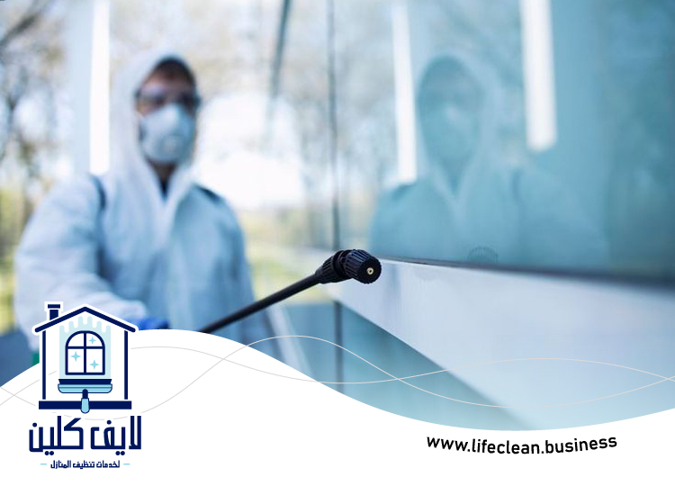 شركة مكافحة الصراصير فى عجمان 3 شركة مكافحة الصراصير فى عجمان