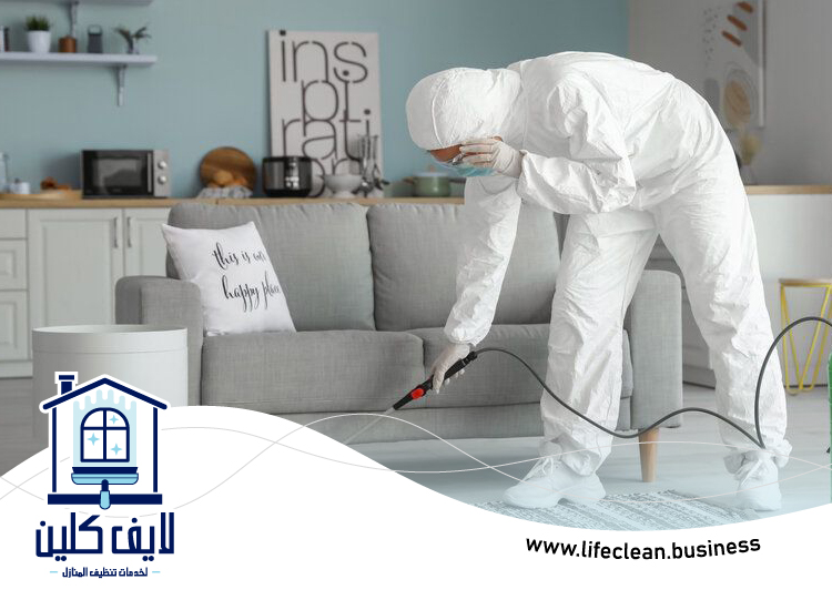 مكافحة الذباب في دبي 5 مكافحة الذباب في دبي