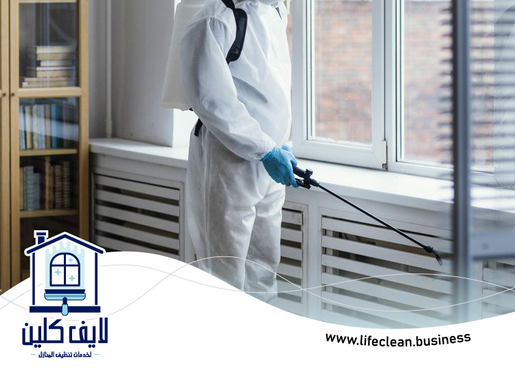 مكافحة الذباب في الشارقة 3 مكافحة الذباب في الشارقة