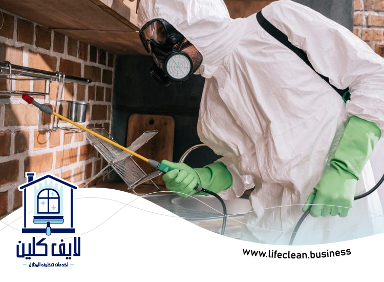 مكافحة الذباب في الشارقة 2 مكافحة الذباب في الشارقة