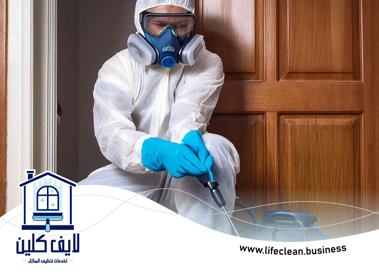 شركة مكافحة حشرات في العين 5 شركة مكافحة حشرات في العين