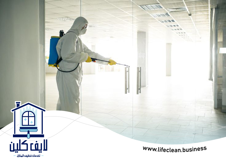 شركة مكافحة حشرات في العين 4 شركة مكافحة حشرات في العين