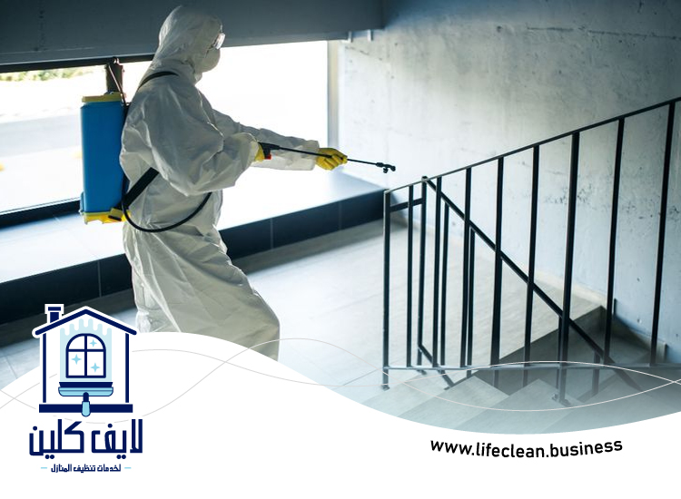 شركة مكافحة حشرات في العين 2 شركة مكافحة حشرات في العين