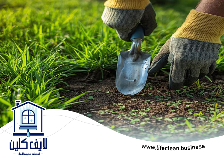 شركة تنظيف حدائق في عجمان 5 شركة تنظيف حدائق في عجمان