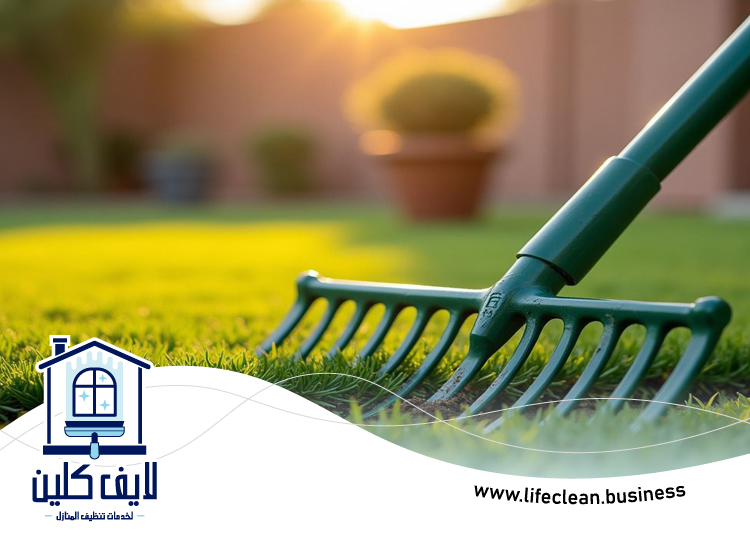 شركة تنظيف حدائق في الفجيرة