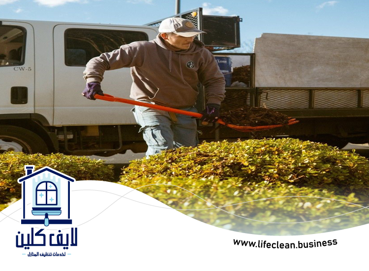 شركة تنظيف حدائق في الفجيرة 3 شركة تنظيف حدائق في الفجيرة