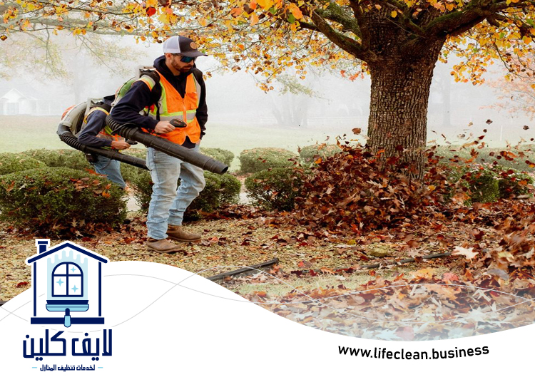 شركة تنظيف حدائق في الفجيرة 5 شركة تنظيف حدائق في الفجيرة