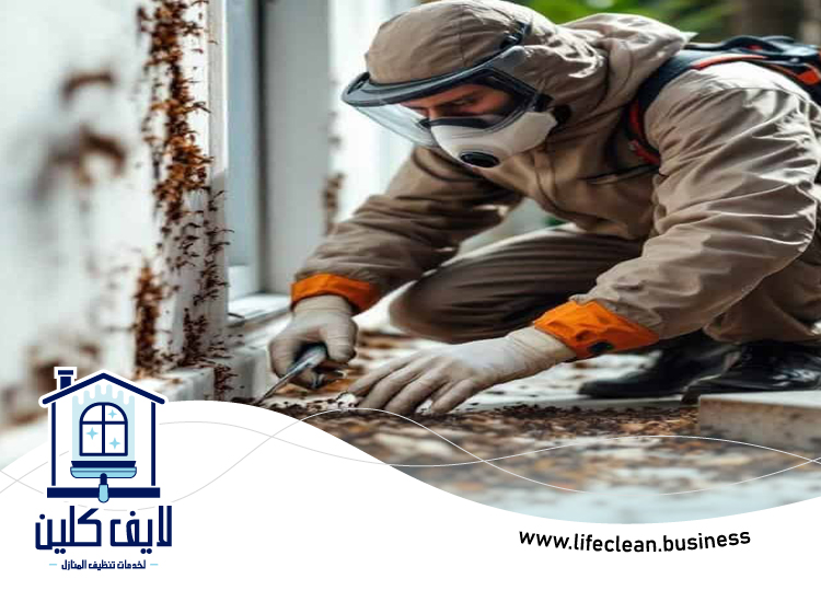 شركة مكافحة الرمة في المدام 2 شركة مكافحة الرمة في المدام