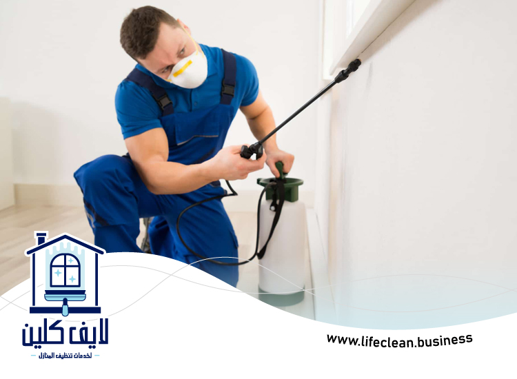 مكافحة حشرات