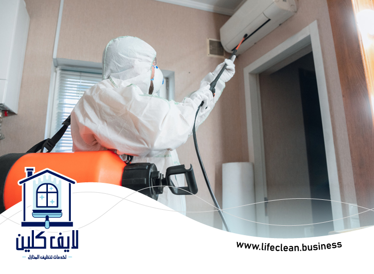 مكافحة حشرات دبي 5 مكافحة حشرات دبي