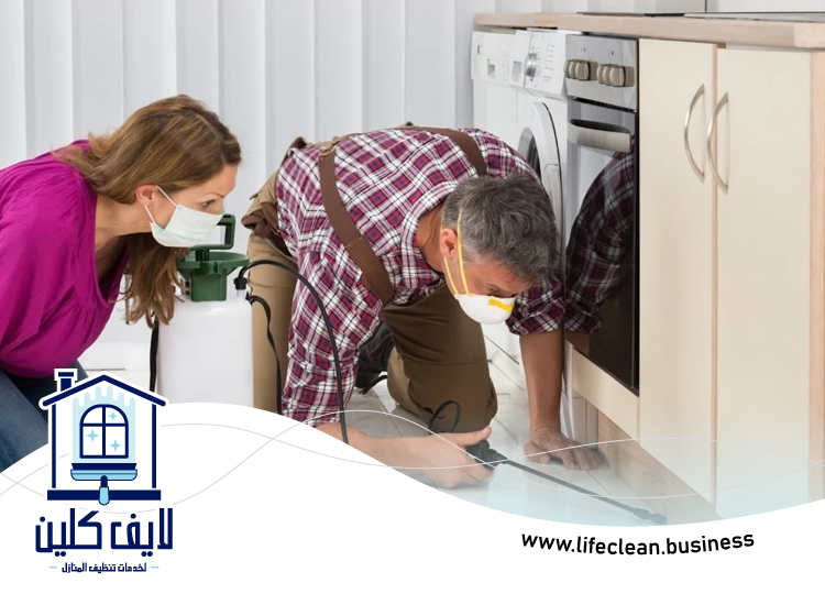 شركة مكافحة حشرات الورقاء