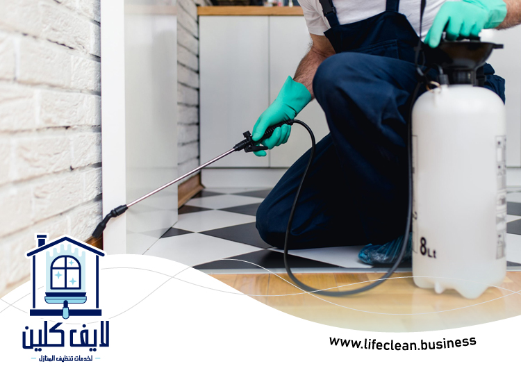 مكافحة حشرات في الفجيرة 5 مكافحة حشرات في الفجيرة