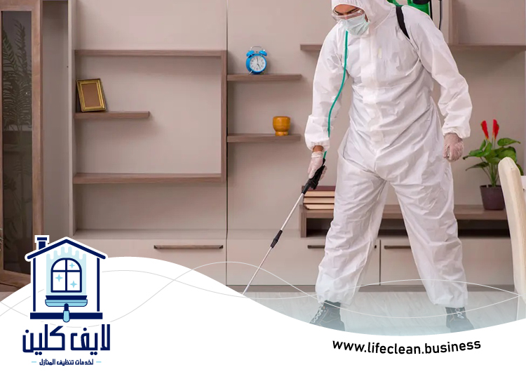 شركة مكافحة حشرات الورقاء