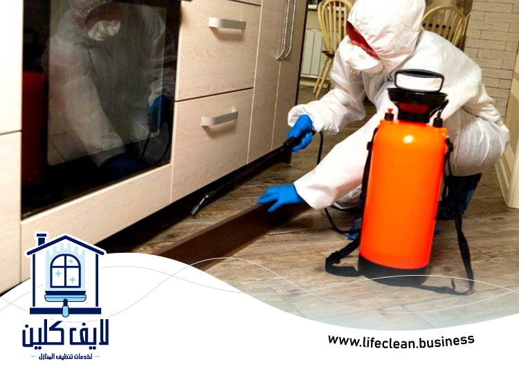 مكافحة حشرات دبي 4 مكافحة حشرات دبي