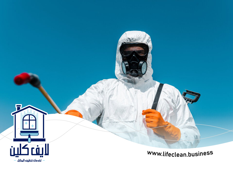 شركة مكافحة حشرات في الفجيرة 4 شركة مكافحة حشرات في الفجيرة