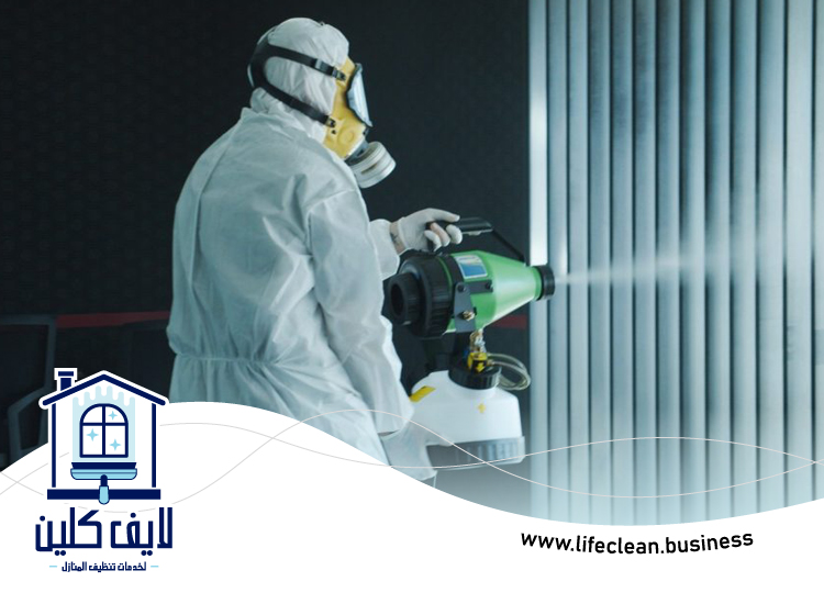 مكافحة حشرات في الفجيرة 4 مكافحة حشرات في الفجيرة