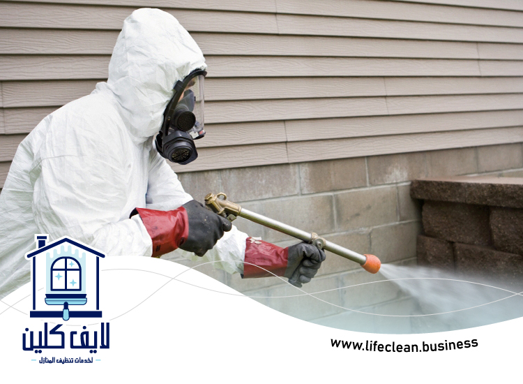 مكافحة حشرات دبي 3 مكافحة حشرات دبي