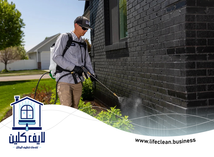 أفضل شركة مكافحة حشرات 3 أفضل شركة مكافحة حشرات