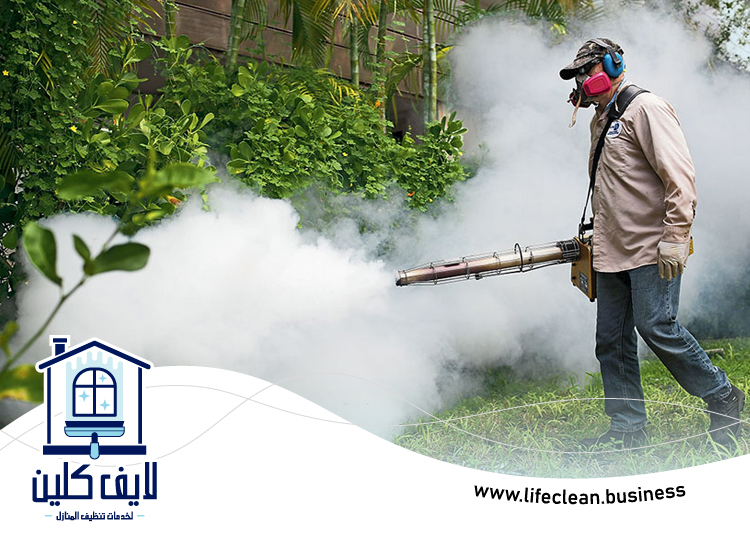 شركة مكافحة الرمة في الزيد 4 شركة مكافحة الرمة في الزيد