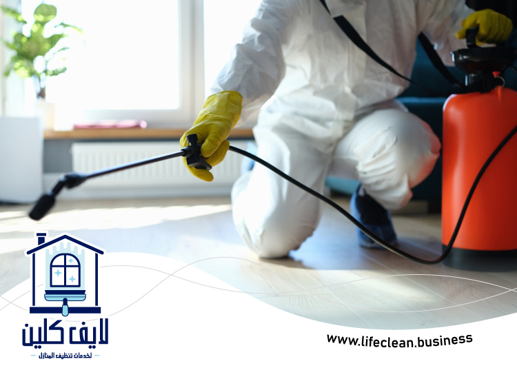 مكافحة حشرات في راس الخيمة 3 مكافحة حشرات في راس الخيمة