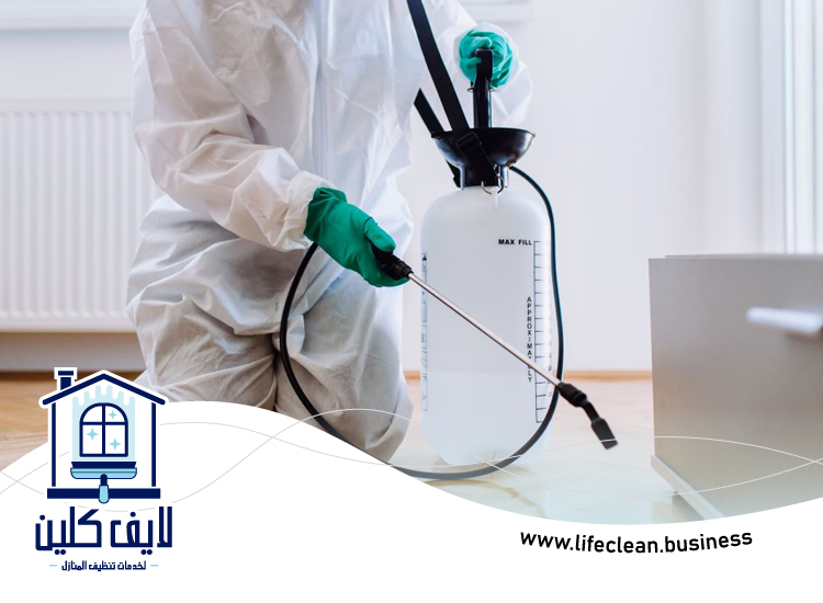 شركة مكافحة حشرات في عجمان 5 شركة مكافحة حشرات في عجمان