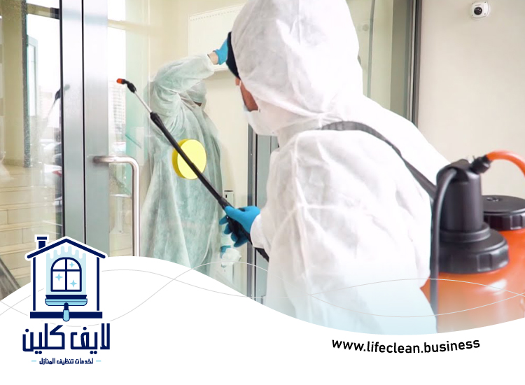 شركة مكافحة حشرات في راس الخيمة 3 شركة مكافحة حشرات في راس الخيمة