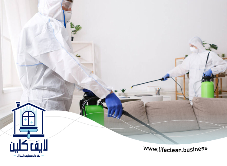 شركة مكافحة حشرات ام القيوين