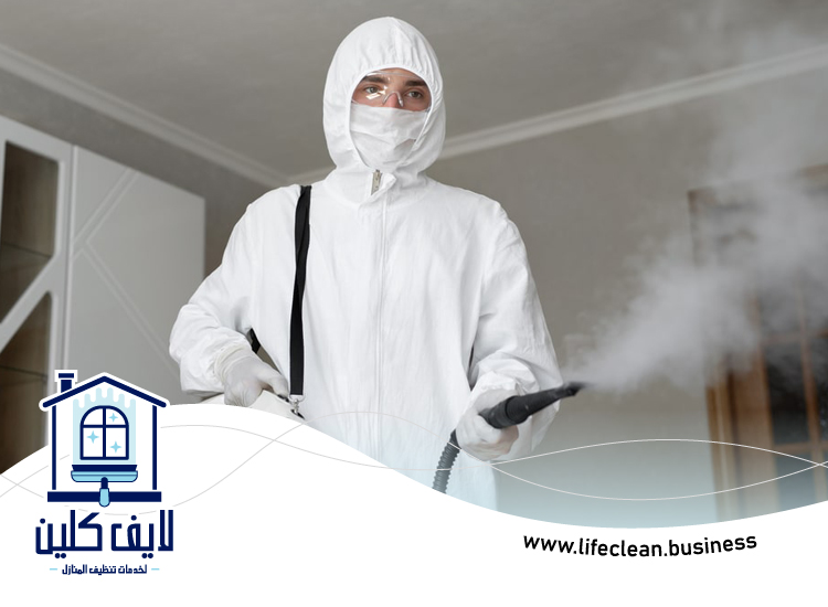 شركة مكافحة حشرات ام القيوين