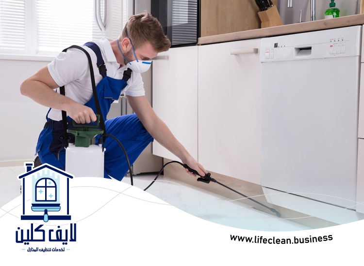 مكافحة حشرات دبي 2 مكافحة حشرات