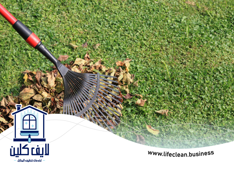 شركة تنظيف حدائق في دبي 3 شركة تنظيف حدائق في دبي