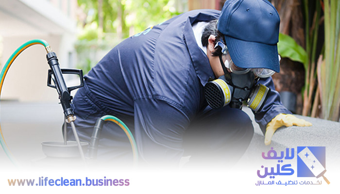 شركة مكافحة الرمة في جروف