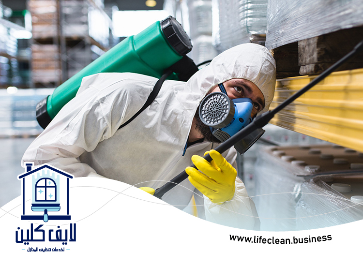 شركة مكافحة حشرات الورقاء