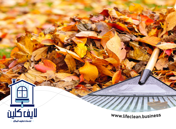 شركة تنظيف حدائق في دبي 5 شركة تنظيف حدائق في دبي